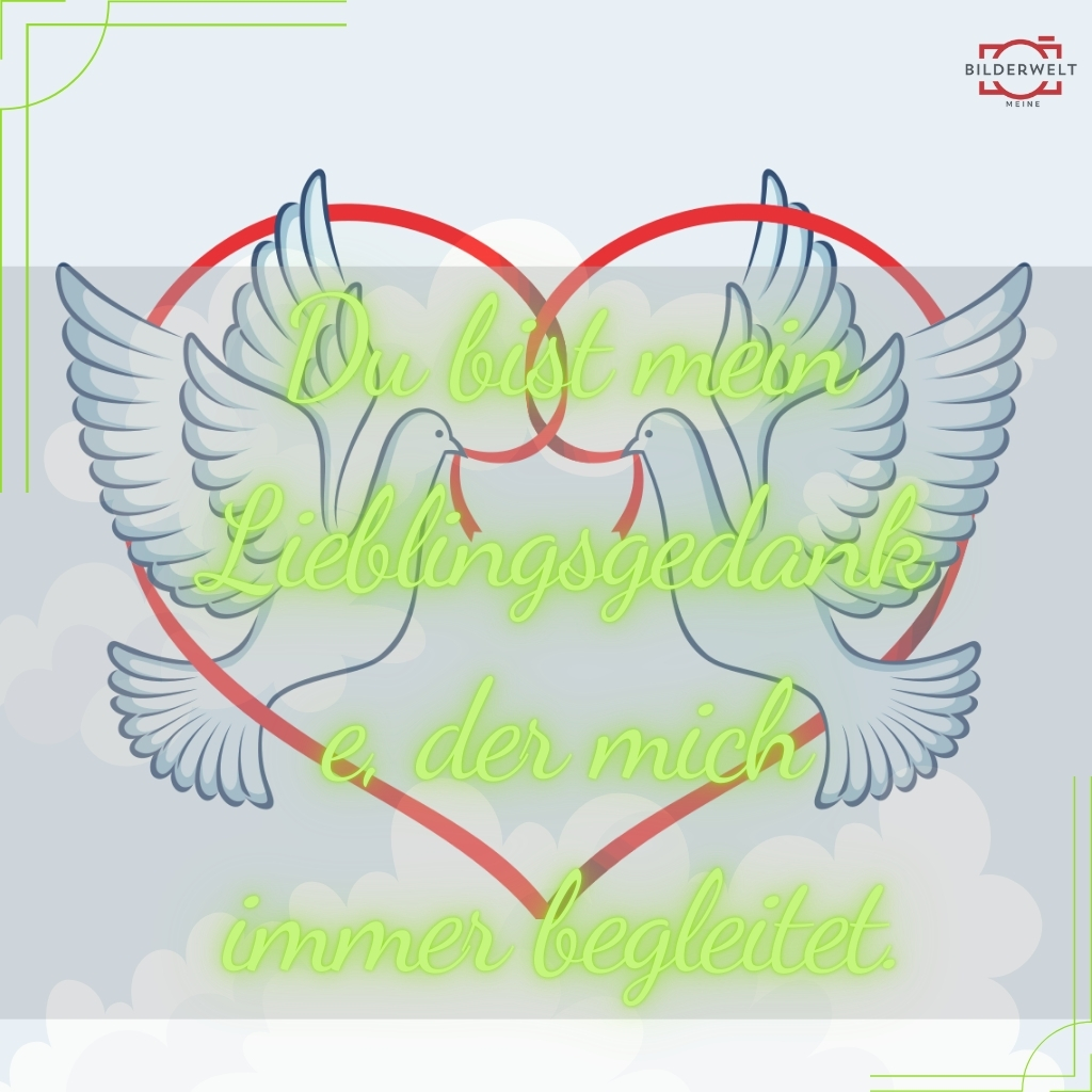 Liebes bilder 47