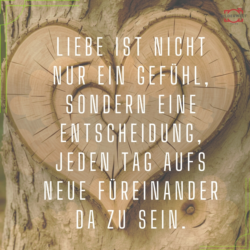 Liebes bilder 58