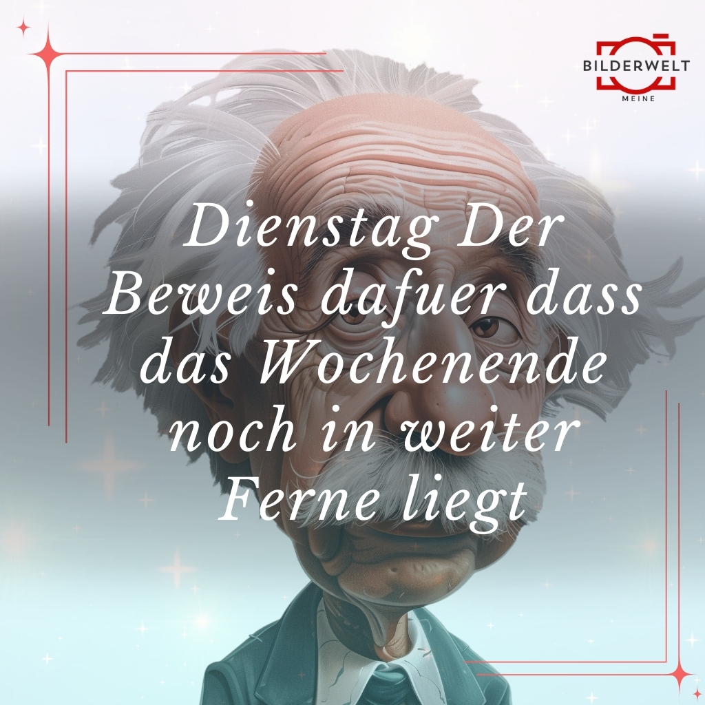 dienstag lustige bilder 21