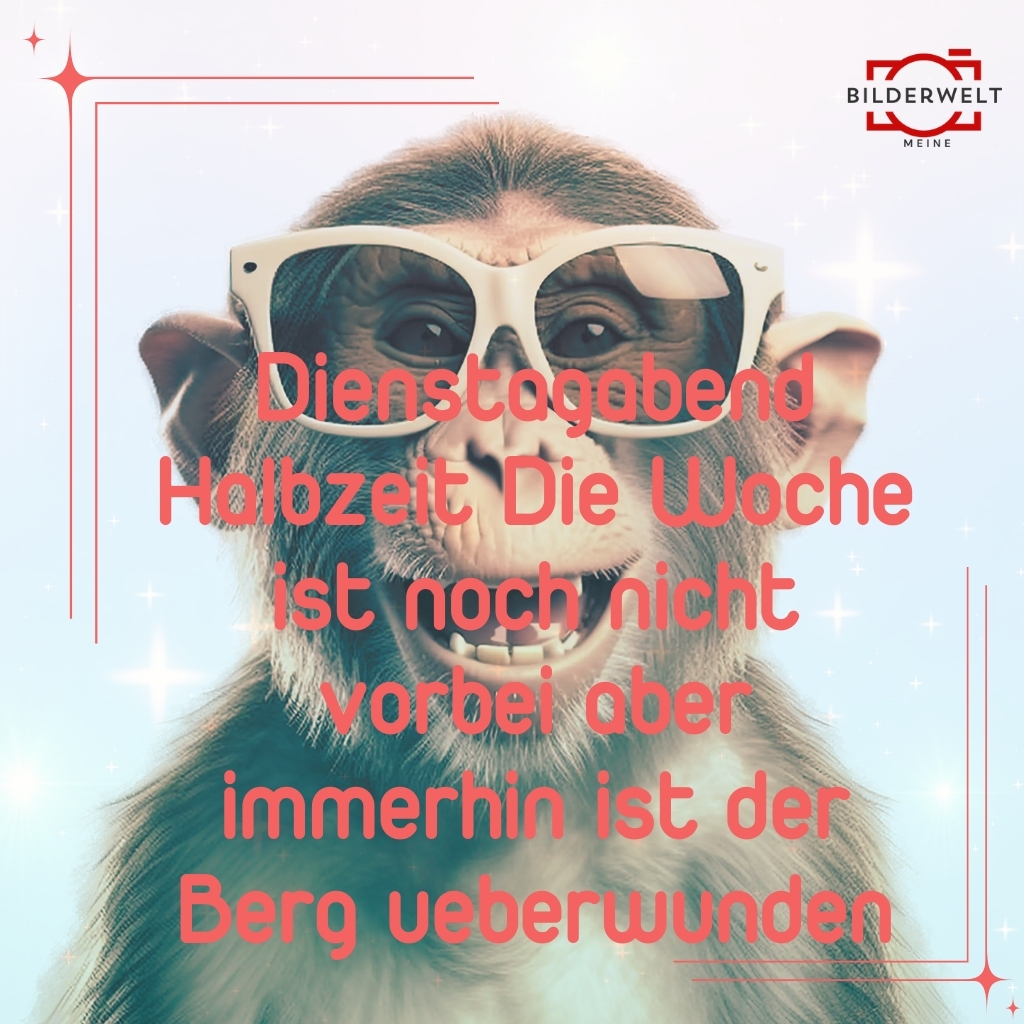 dienstag lustige bilder 31