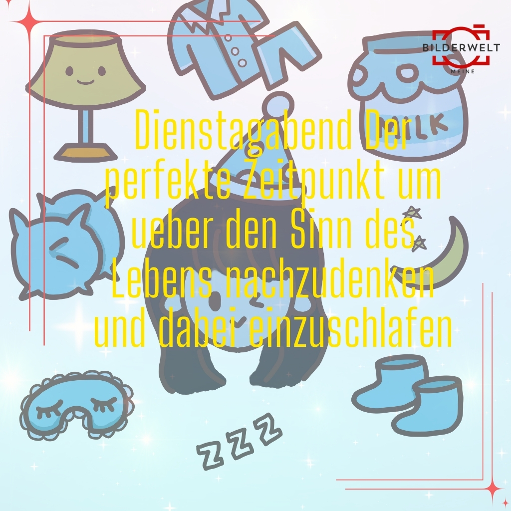 dienstag lustige bilder 35