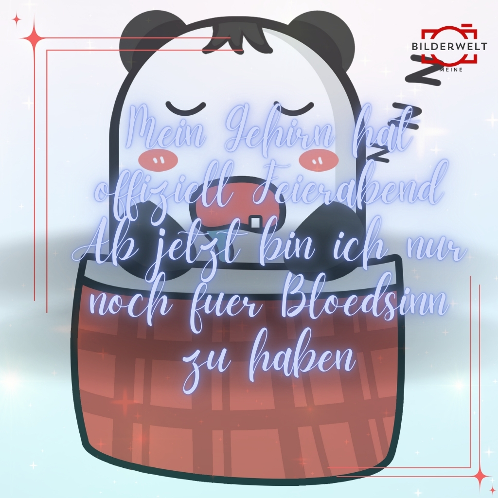 dienstag lustige bilder 38