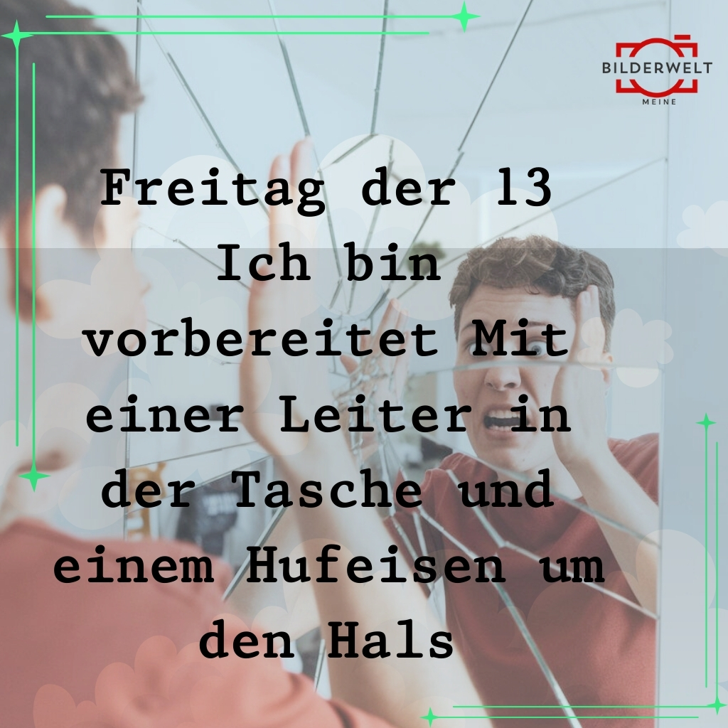 freitag der 13 lustige bilder 23