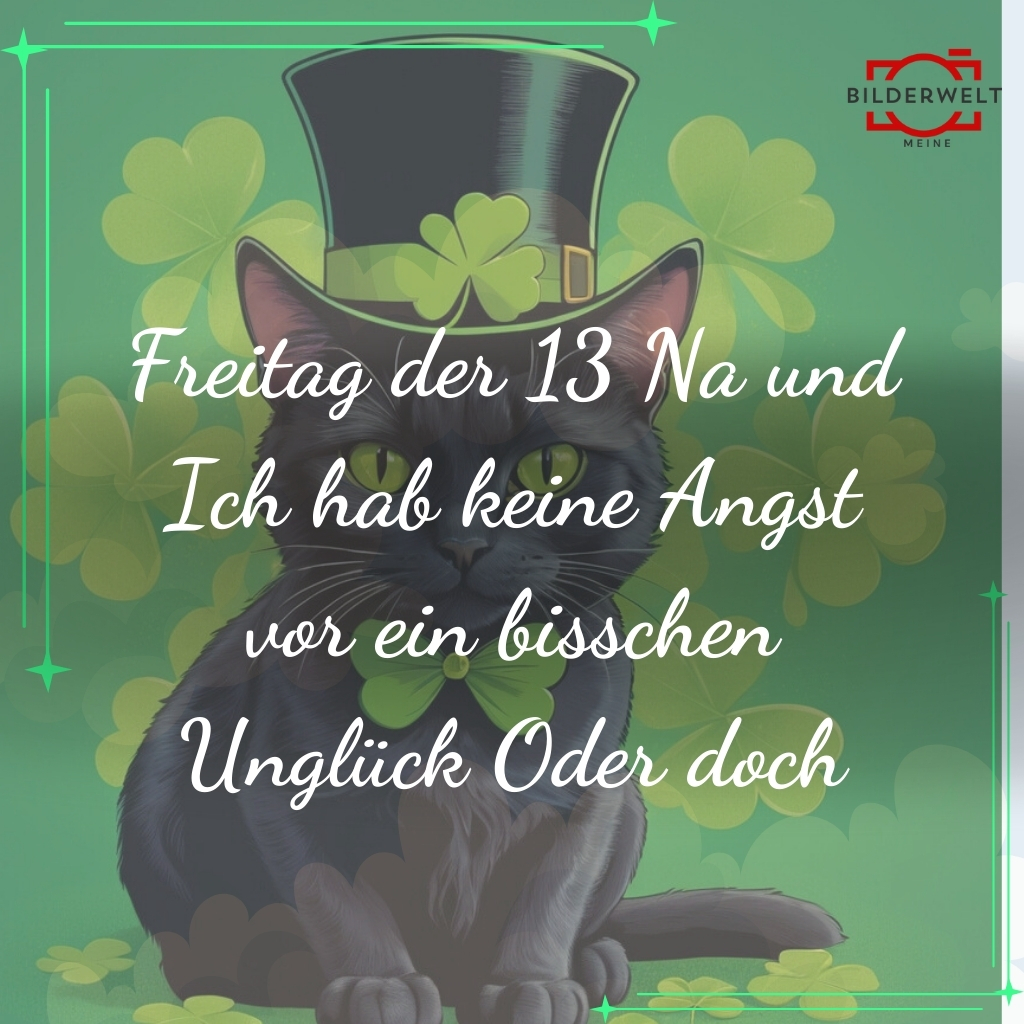 freitag der 13 lustige bilder 27
