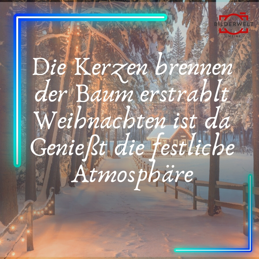 frohe weihnachten lustiges bild 12