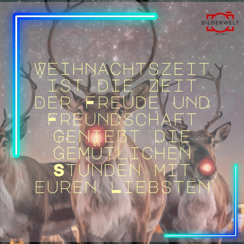 frohe weihnachten lustiges bild 24