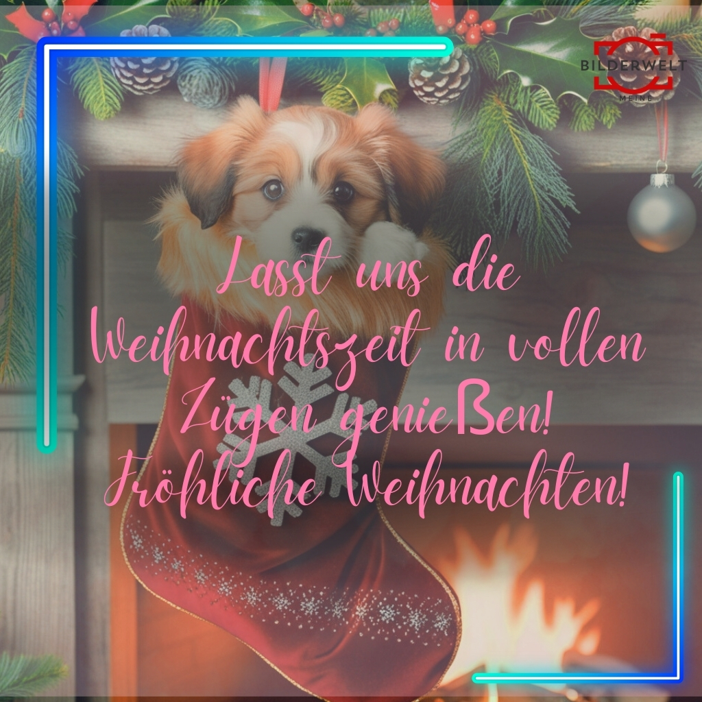 frohe weihnachten lustiges bild 33