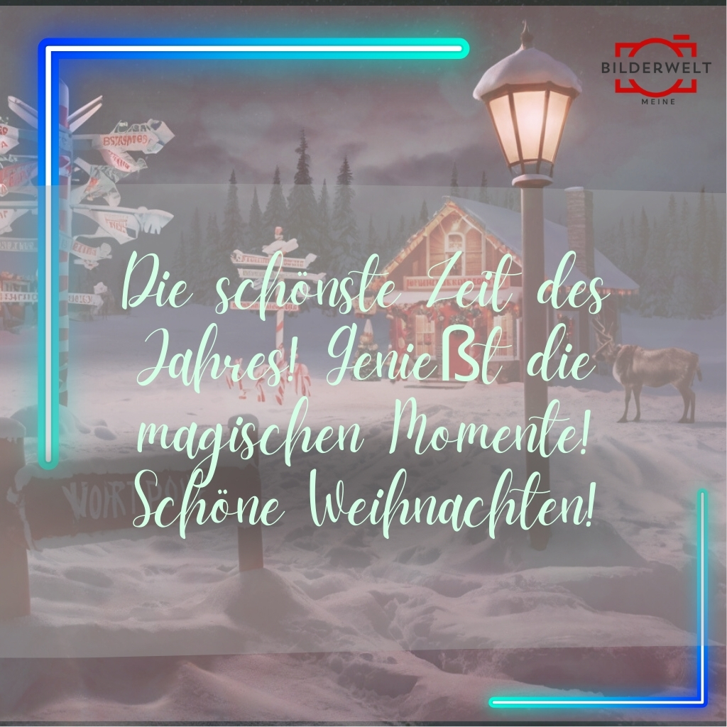 frohe weihnachten lustiges bild 35