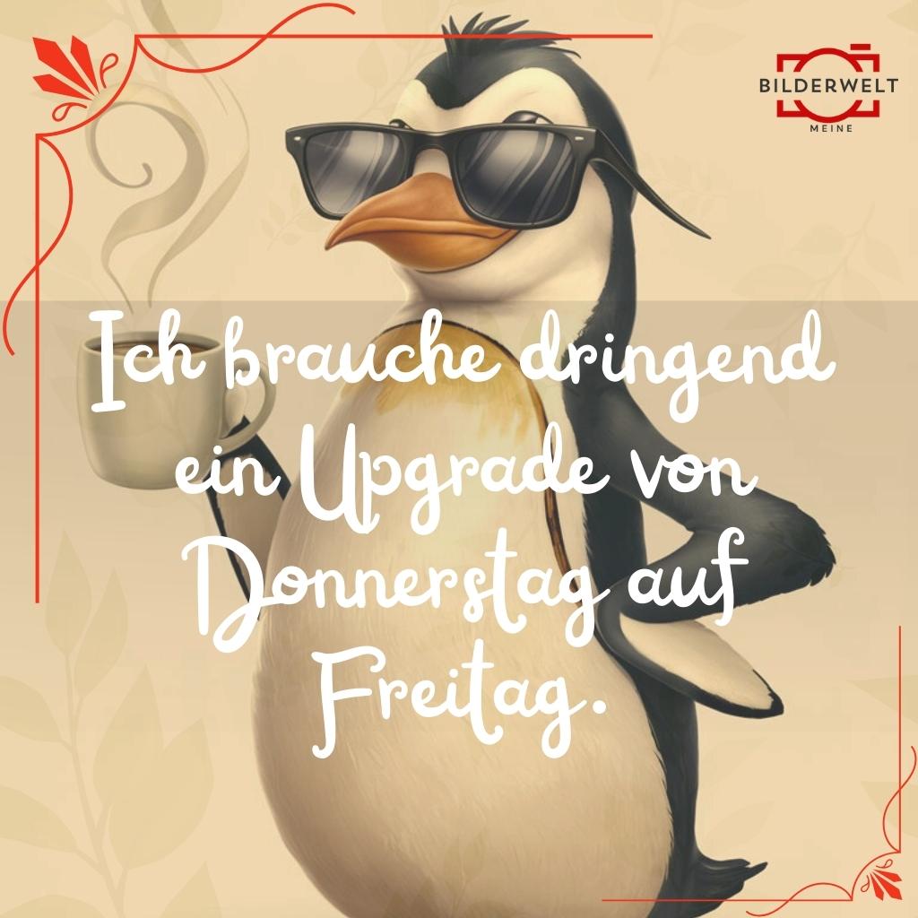 lustige bilder fur donnerstag 21