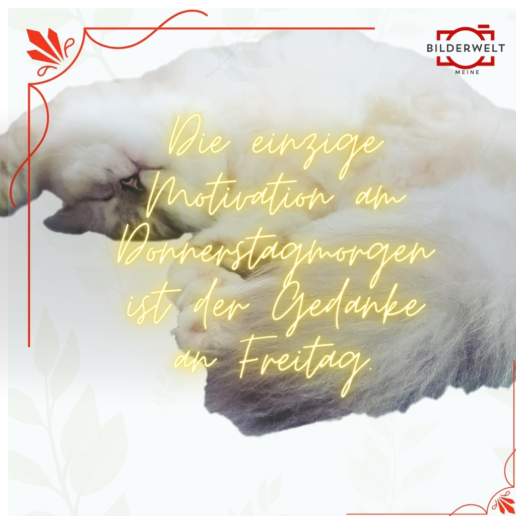 lustige bilder fur donnerstag 28
