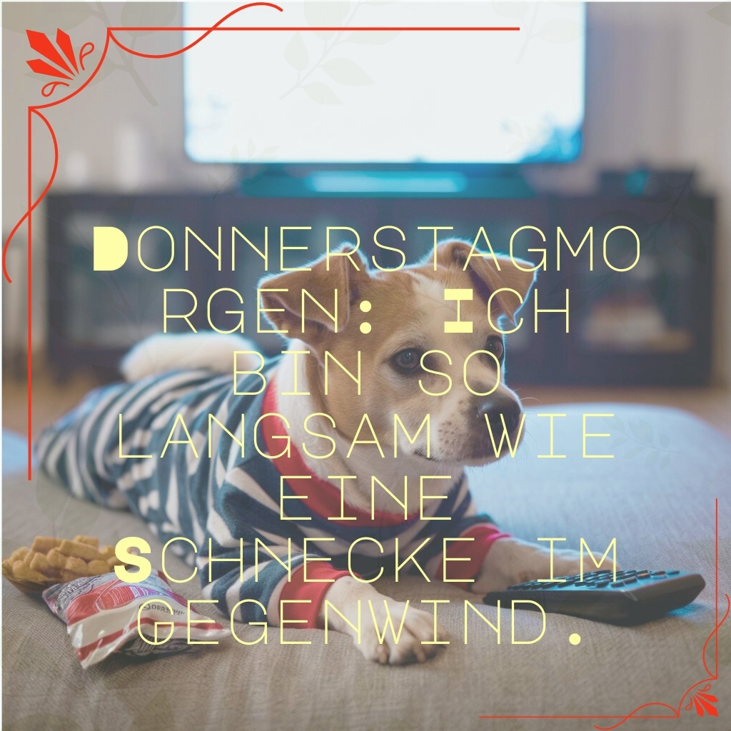 lustige bilder fur donnerstag 29