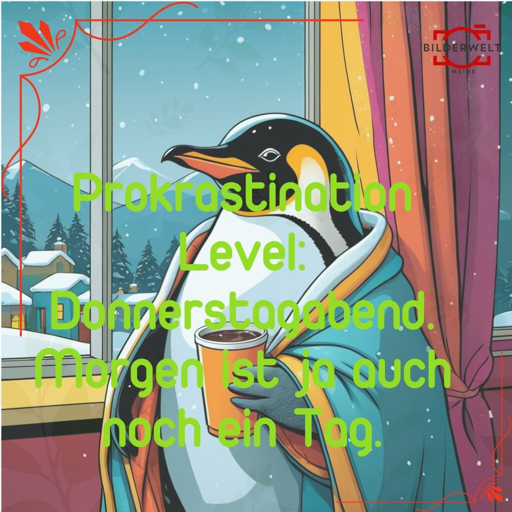 lustige bilder fur donnerstag 35