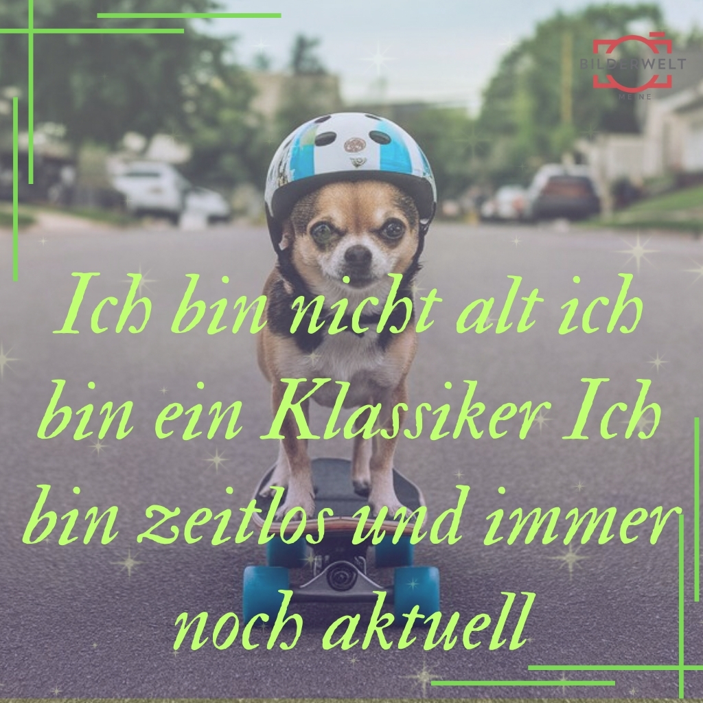 lustiges bild 23