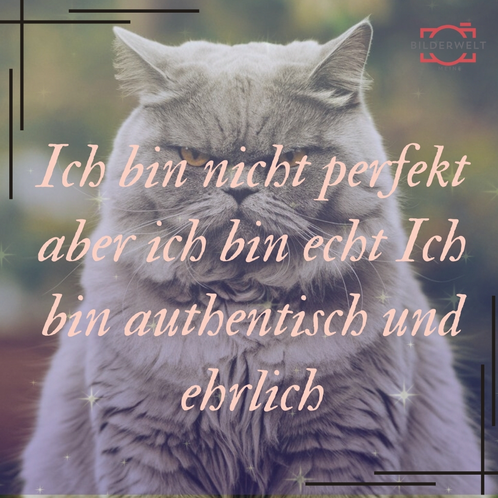 lustiges bild 37