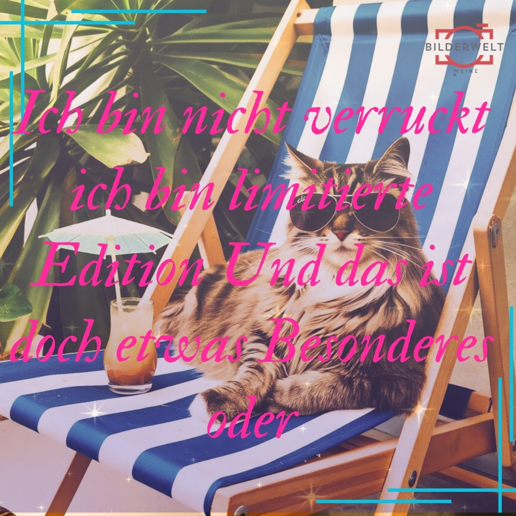 lustiges bild 62