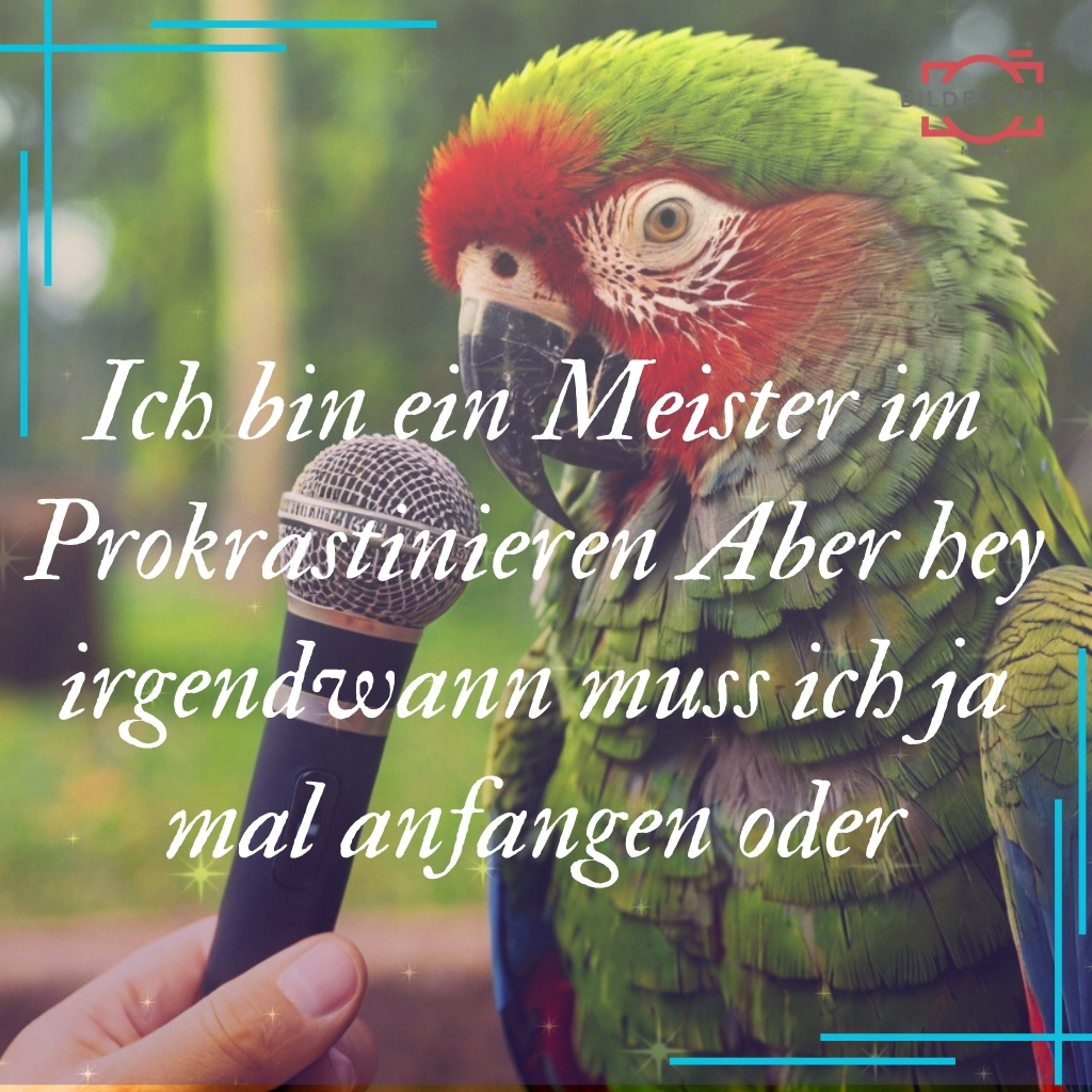 lustiges bild 64
