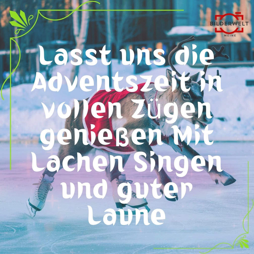 lustiges bild advent 14