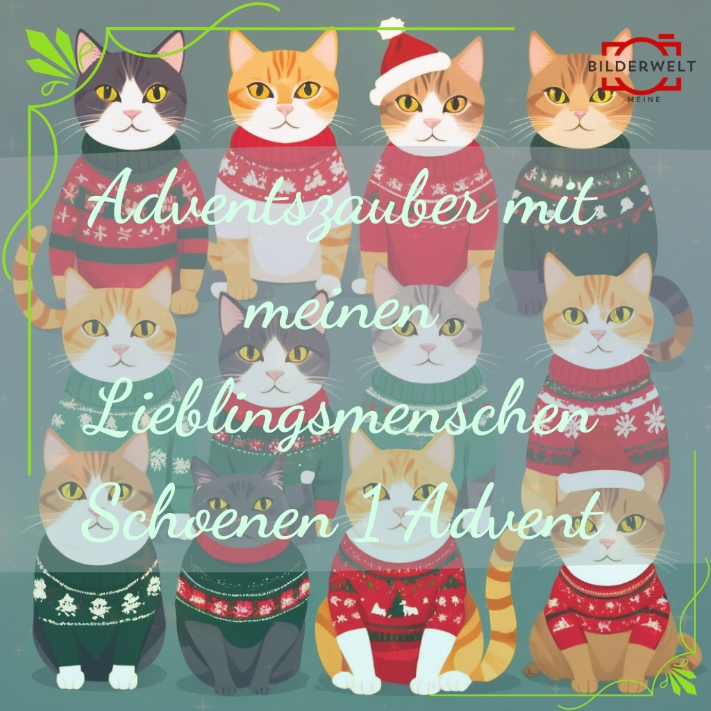 lustiges bild advent 25
