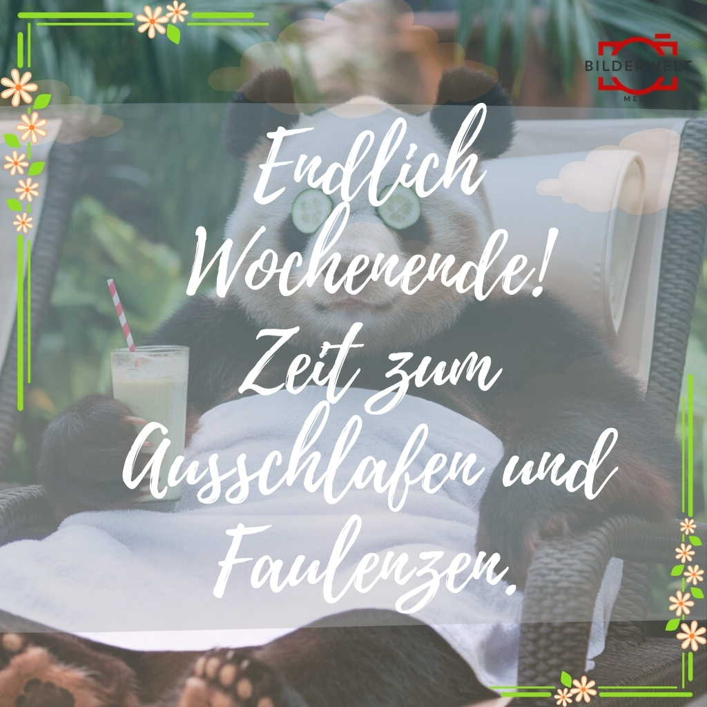 lustiges bild freitag 16