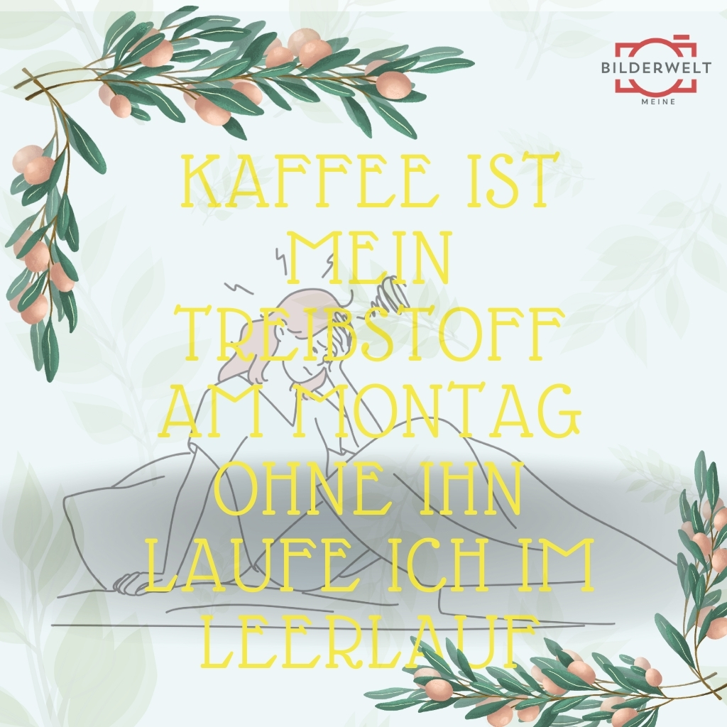 lustiges bild montag 17