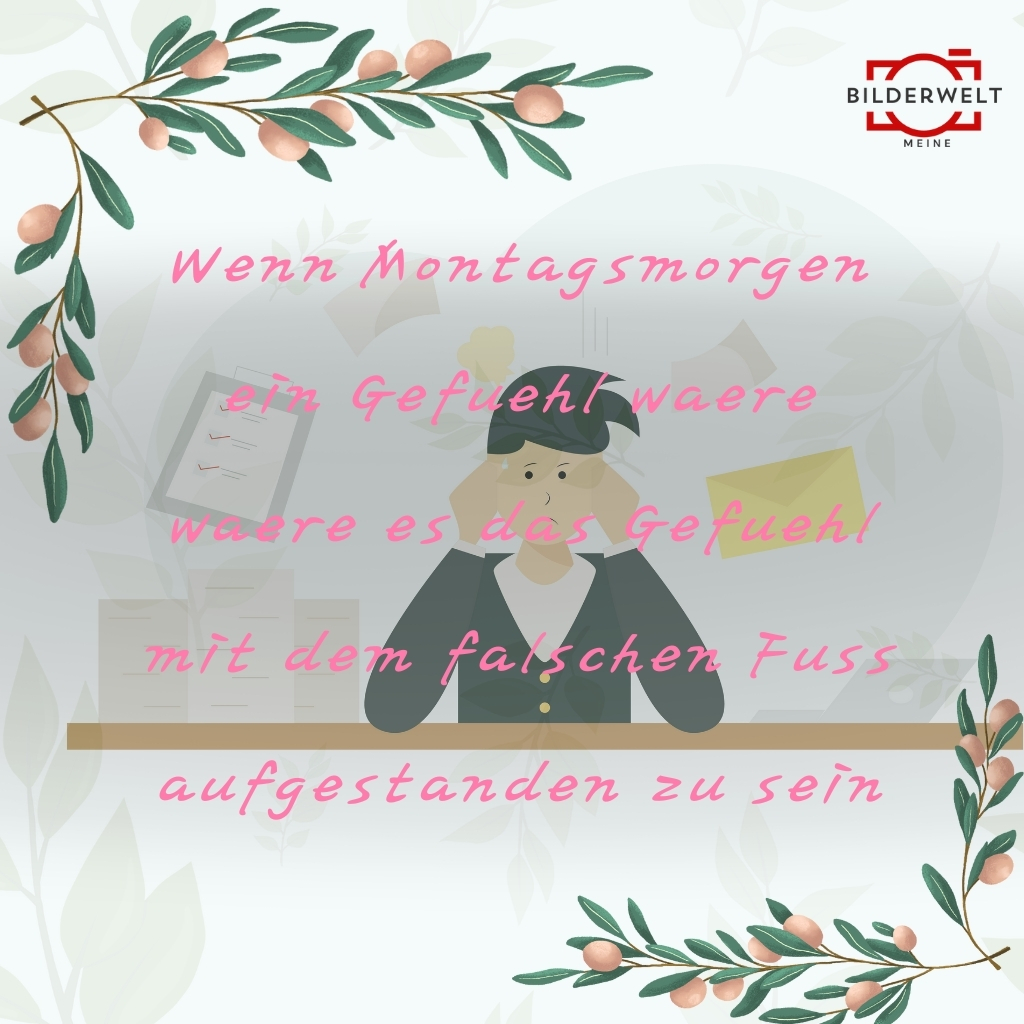 lustiges bild montag 29