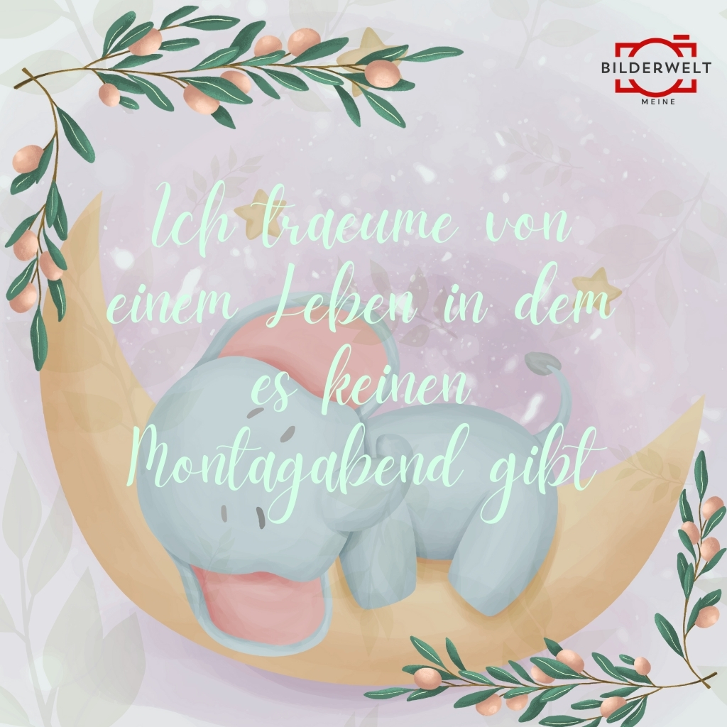 lustiges bild montag 38