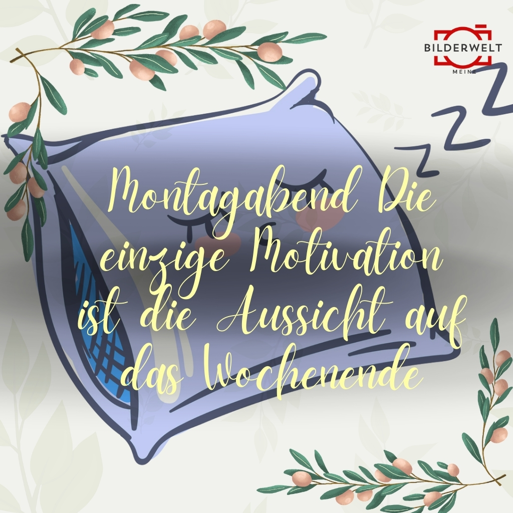 lustiges bild montag 40