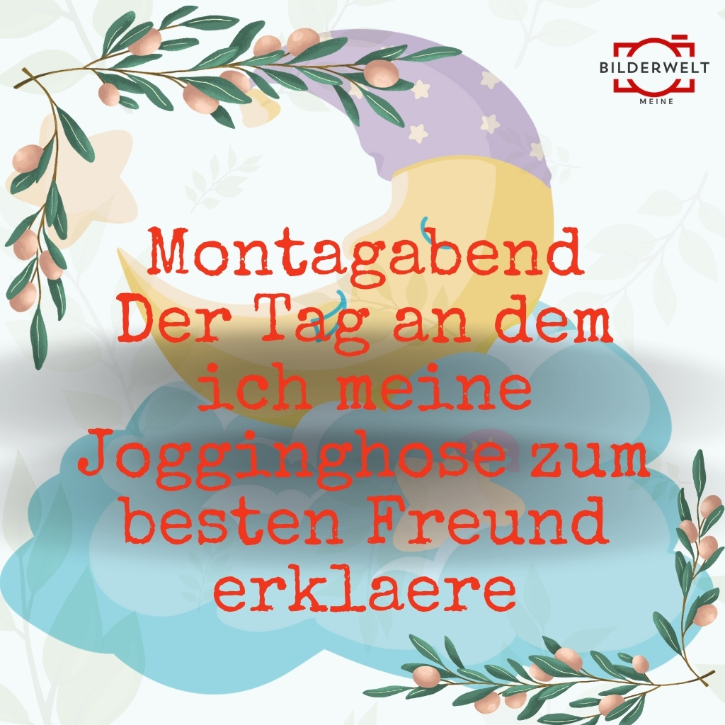 lustiges bild montag 41